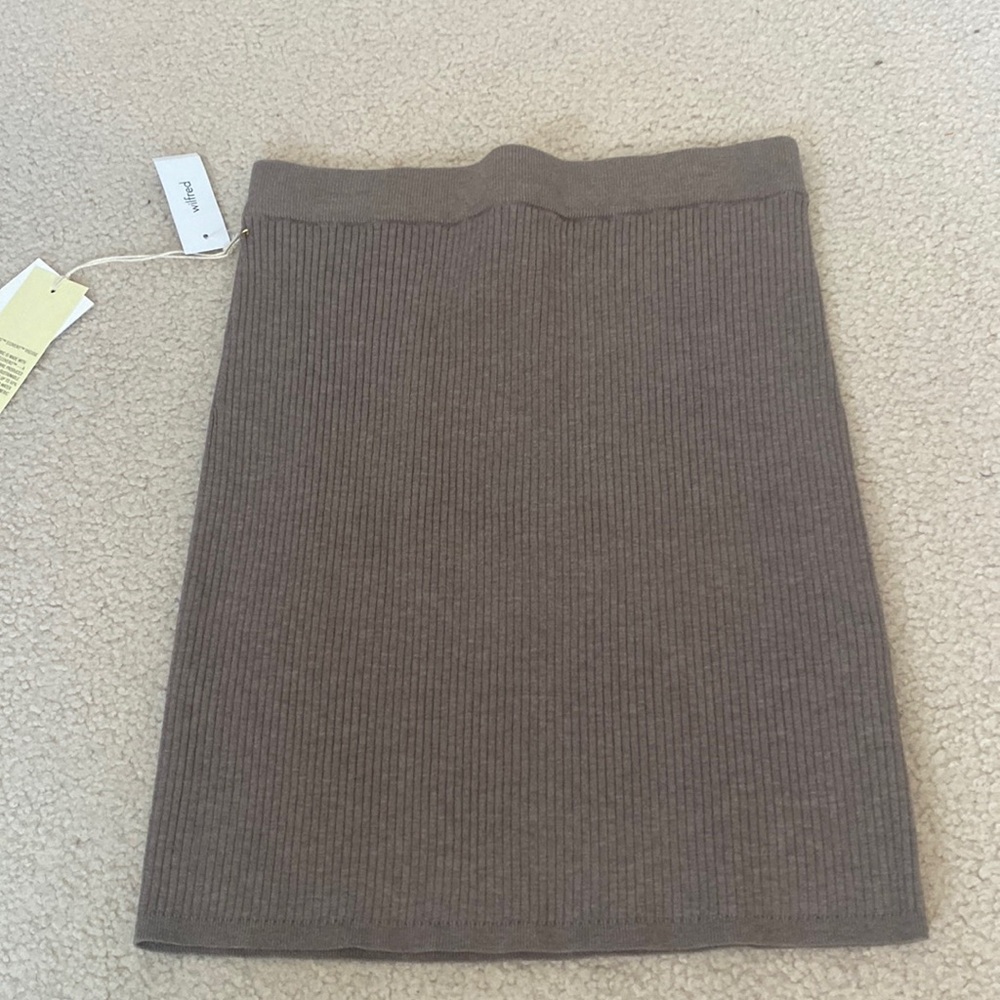 Aritzia skirt